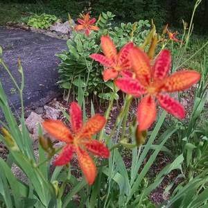 Meet your Posher, Phillip